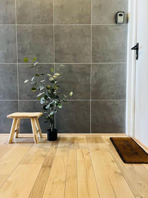 Studio Girafe, Style Boheme Et Atypique, Curistes Luxeuil-les-Bains Eksteriør bilde