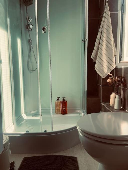 Studio Girafe, Style Boheme Et Atypique, Curistes Luxeuil-les-Bains Eksteriør bilde